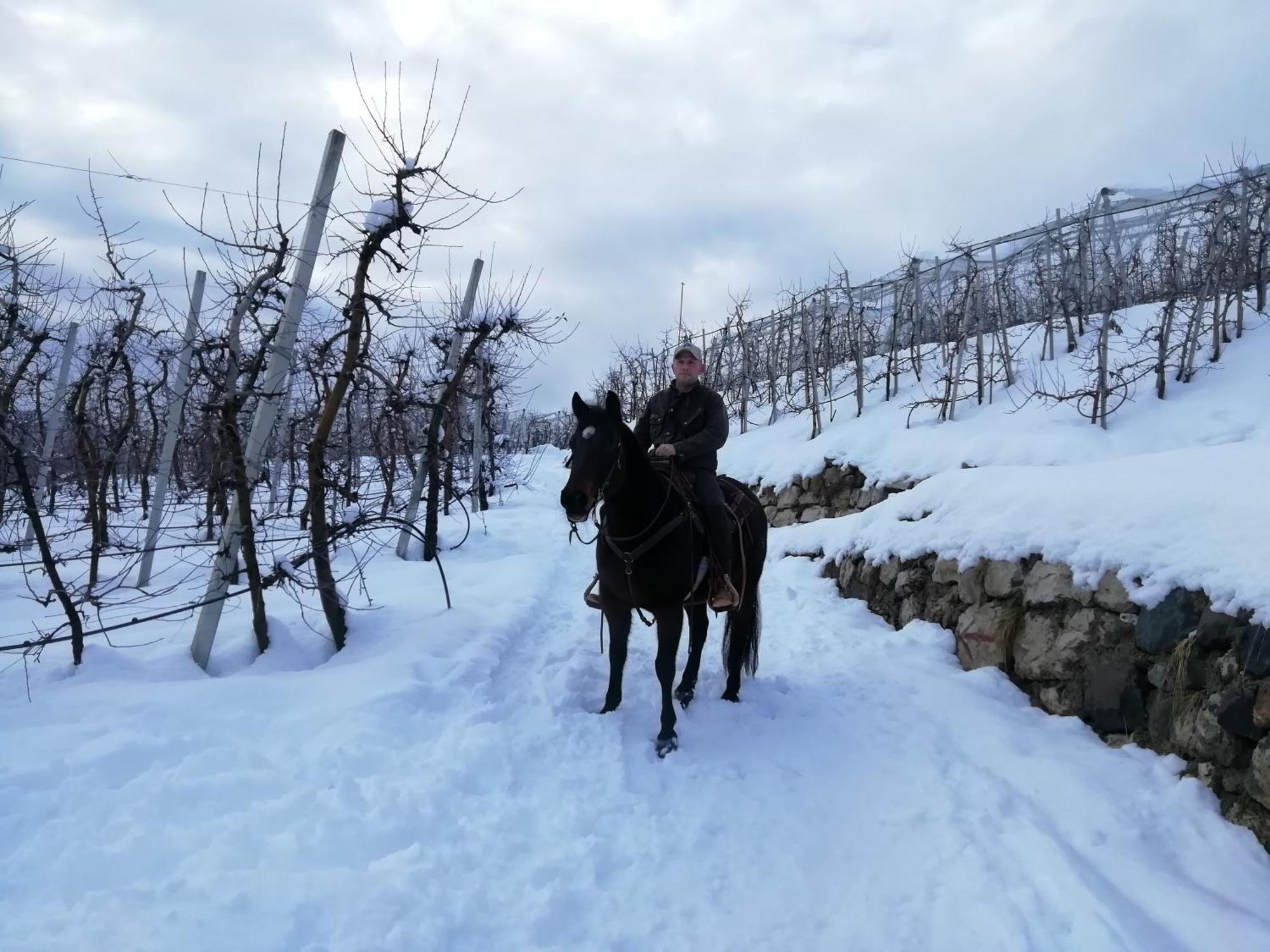 Romallo Horse House B&B 외부 사진