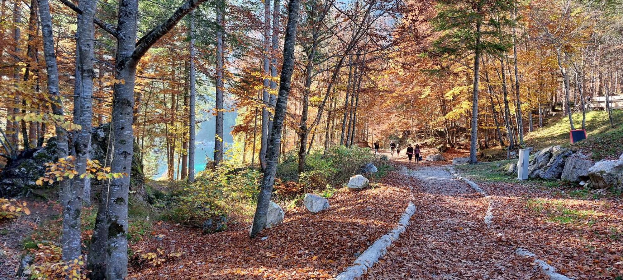Romallo Horse House B&B 외부 사진